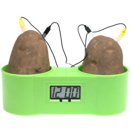 Potato Timer Product Detail | kcda.org