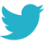 Twitter_Logo_Turquoise_Small.jpg